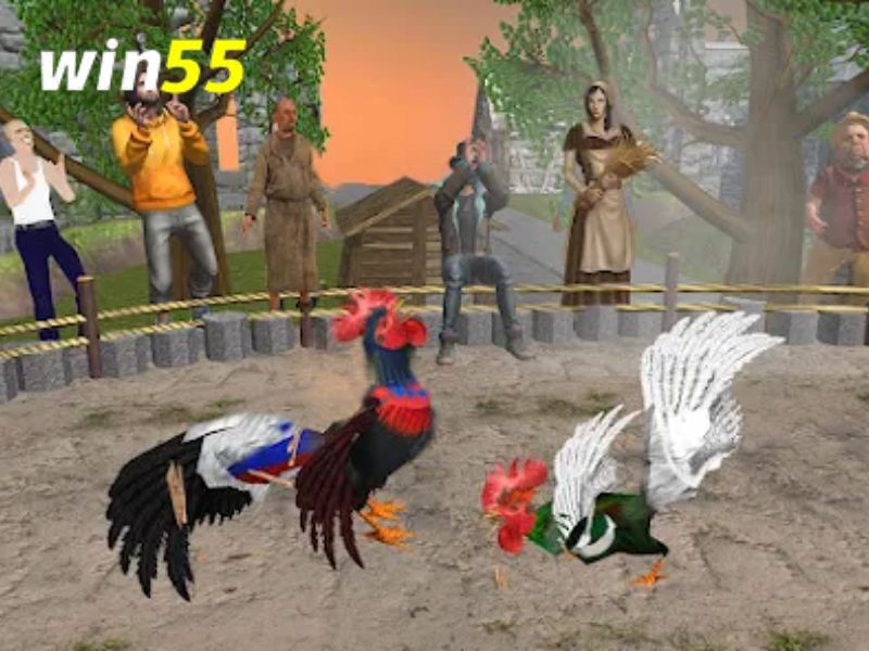 Game đá gà Win55 nhận được rất nhiều sự yêu thích hiện nay